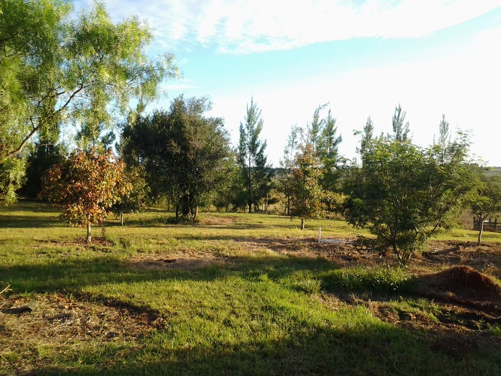 2015-05-03-17.08.41-1024x7681