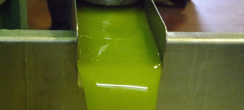Aceite-de-oliva-de-cosecha-temprana1